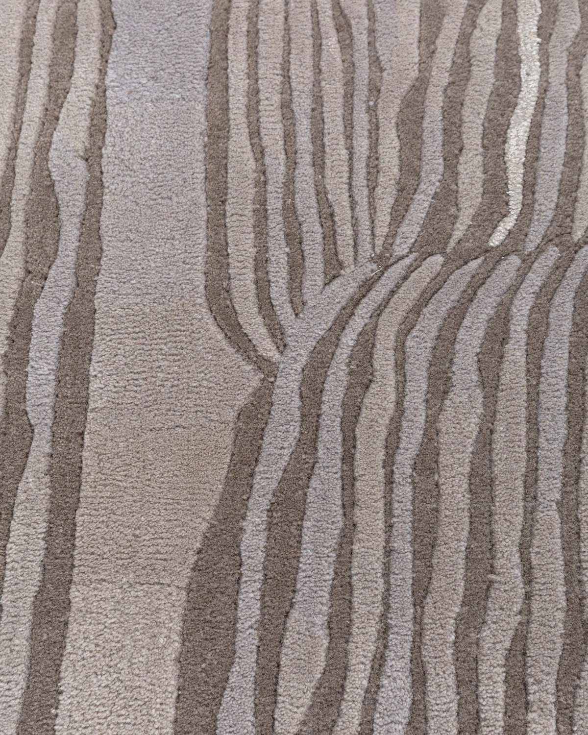 Velora Dune